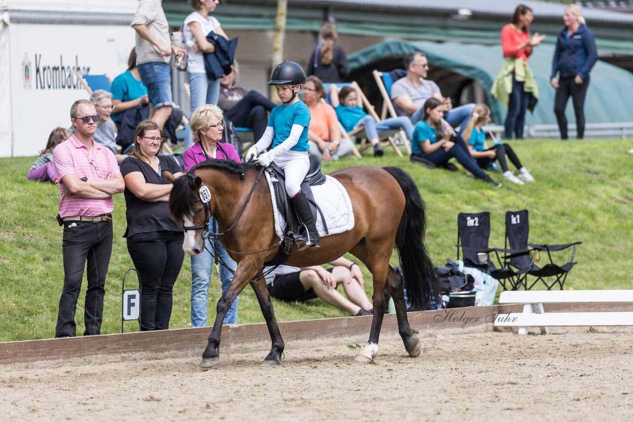 Bild 5 - Pony Akademie Turnier